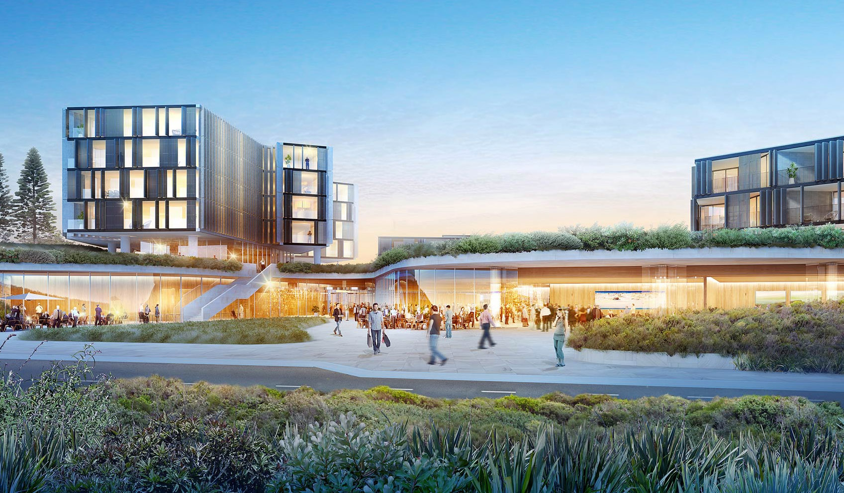 Harbord Diggers Mies LT